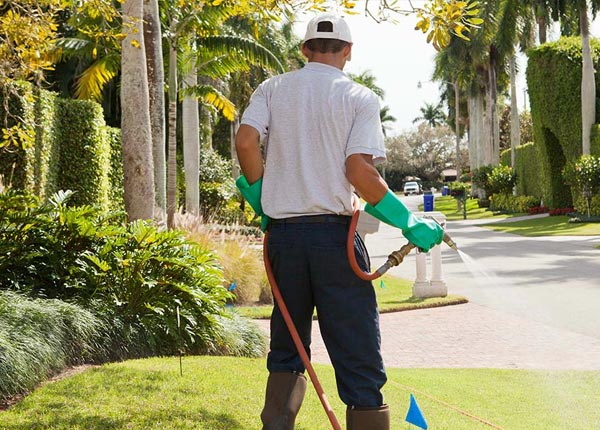 About Isle Saint George OH Pest Control Pros